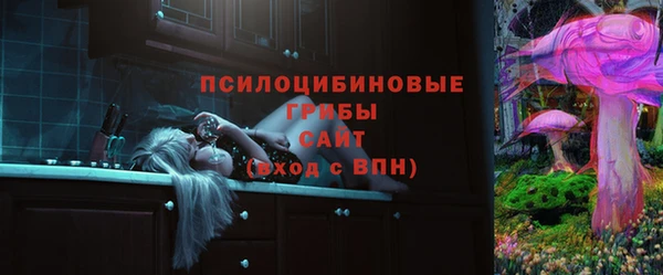 молекула духа Бронницы
